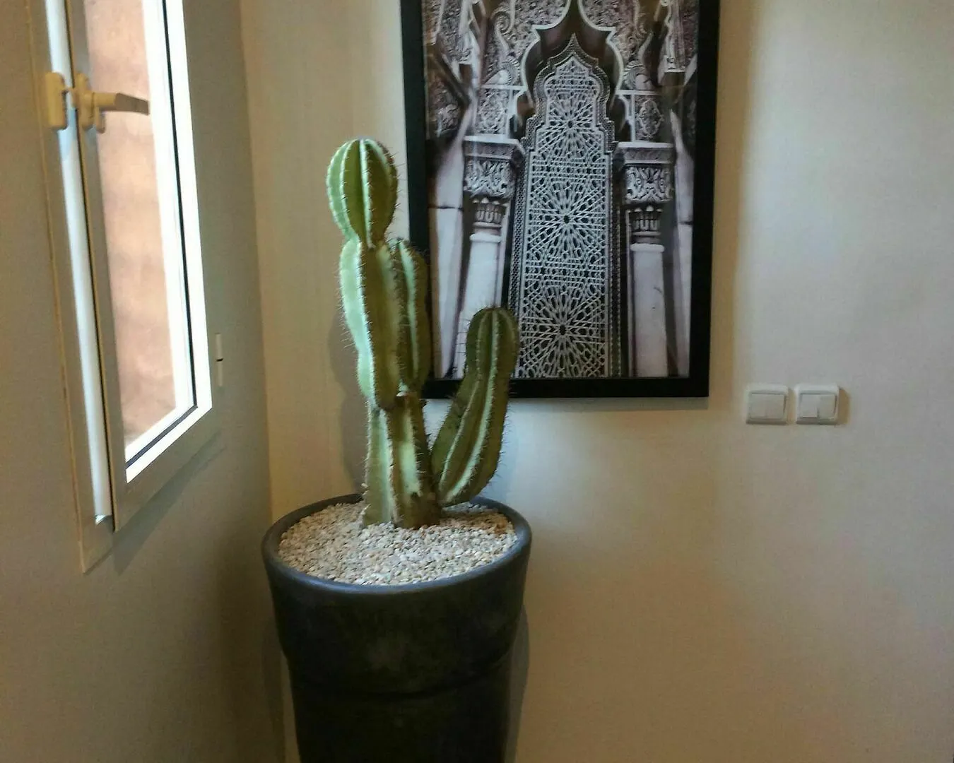 Villa Cactus Marrákes Marokkó